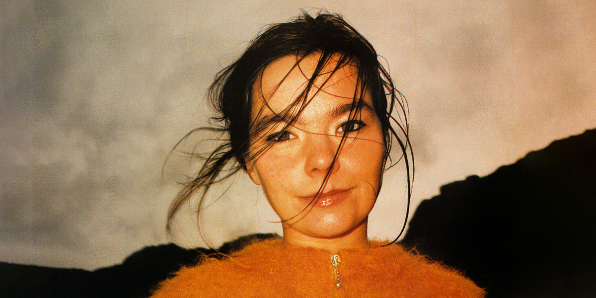 The Vinyl Brew: Björk - Debut