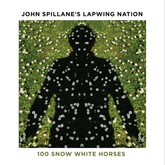 100 Snow White Horses - John Spillane [CD]