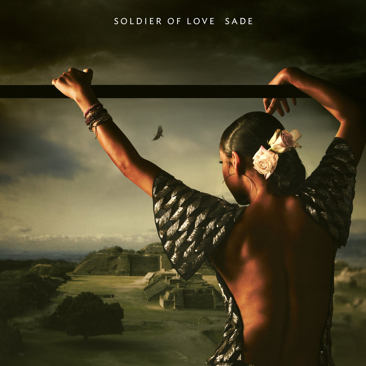 Soldier of Love - Sade [VINYL]