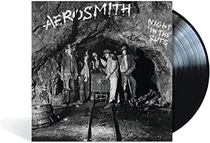 Night in the Ruts - Aerosmith [VINYL]