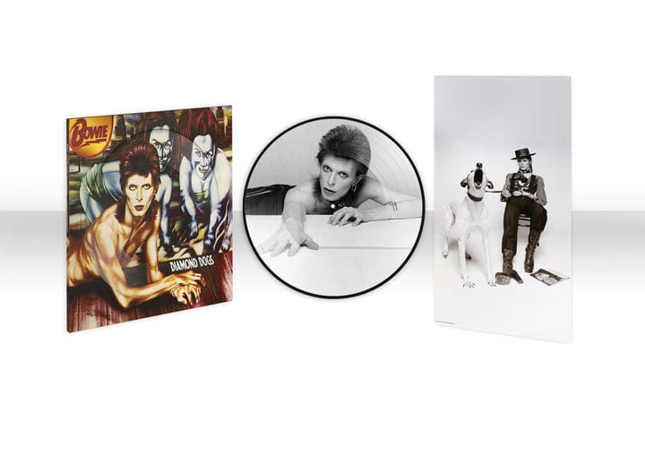 Diamond Dogs (50th Anniversary Picture Disc) - David Bowie [Colour Vinyl]