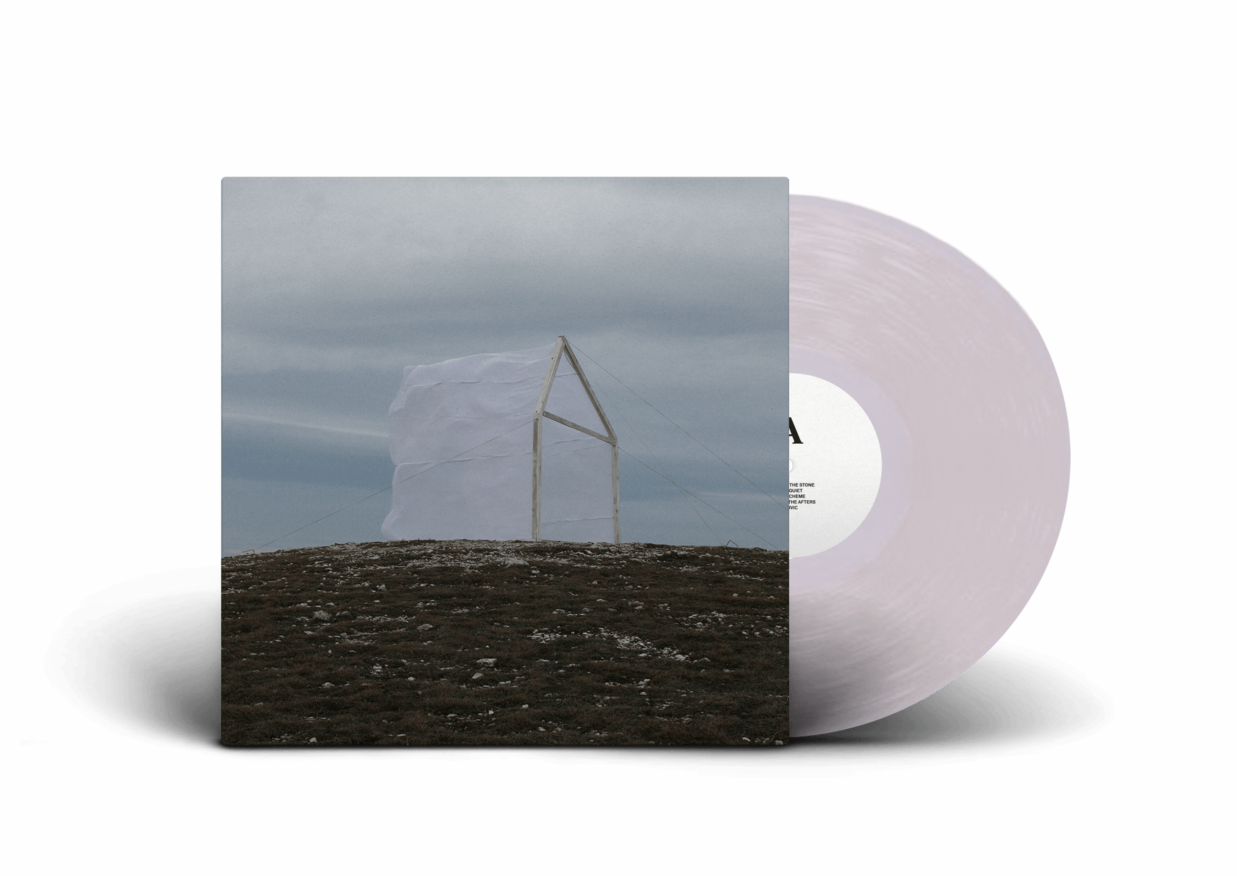 Carving The Stone (Indie Crystal Clear Edition) - For Those I Love [Colour Vinyl]