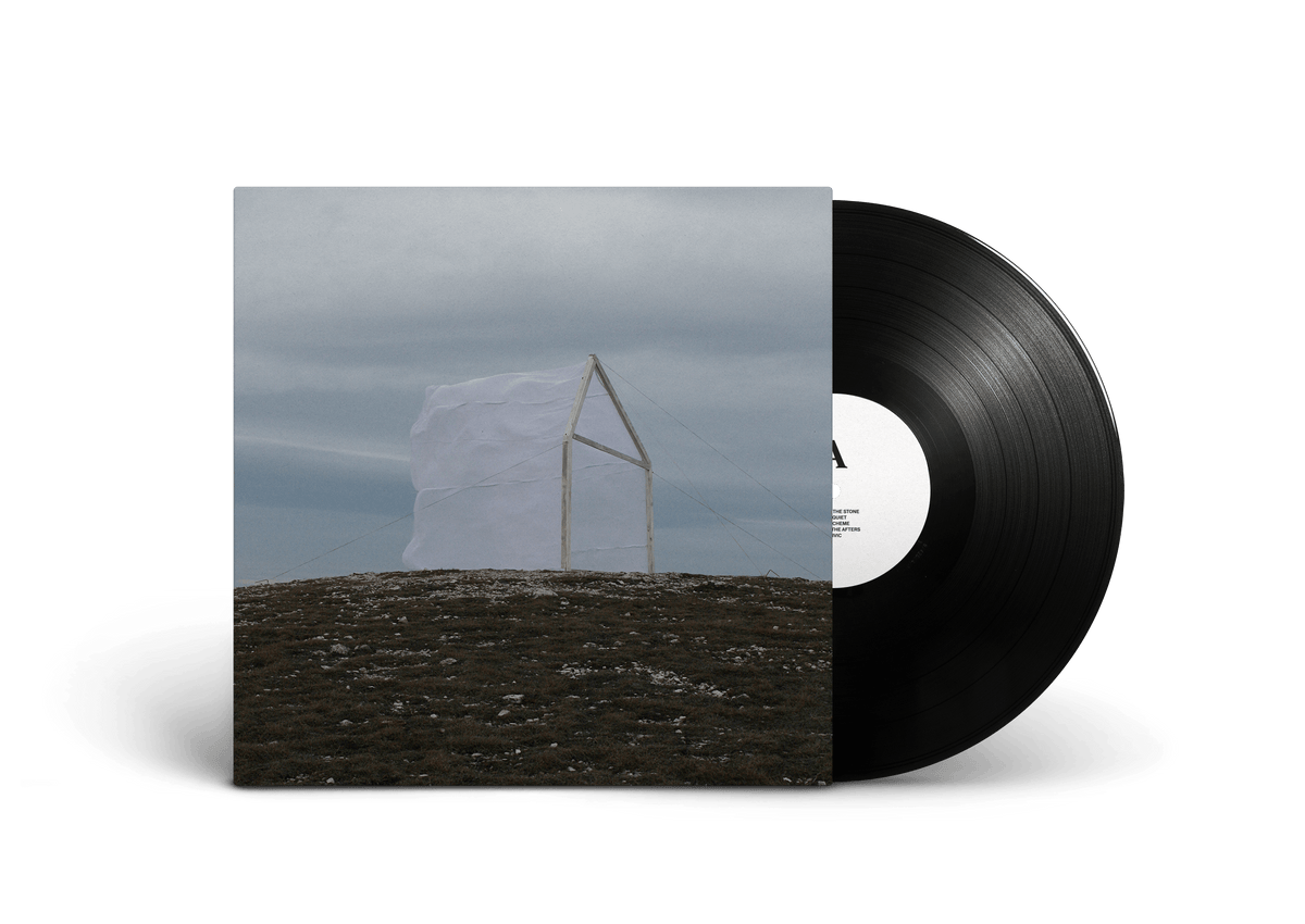 Carving The Stone - For Those I Love [VINYL]