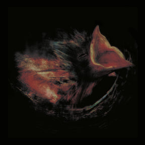 Nobody's Coming to Save You - Gurriers [VINYL] - Vinyl8