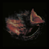 Nobody's Coming to Save You - Gurriers [CD]