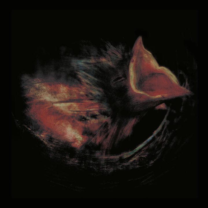 Nobody's Coming to Save You - Gurriers [CD]