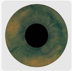 Hades (Forest Abyss Edition) - Melanie Martinez [Colour Vinyl] - Vinyl8