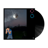 Kiss All The Time. Disco, Occasionally - Harry Styles [VINYL]