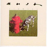 Signals - Rush [CD]