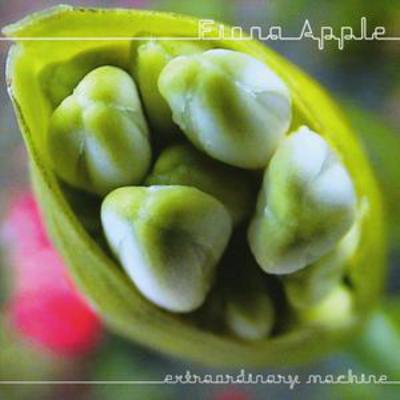 Extraordinary Machine - Fiona Apple [CD]