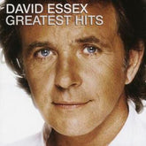 Greatest Hits - David Essex [CD] - Vinyl8