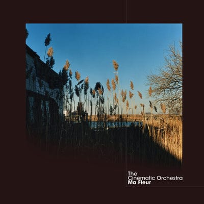 Ma Fleur - The Cinematic Orchestra [CD]