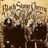 Black Stone Cherry - Black Stone Cherry [CD] - Vinyl8