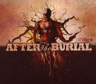 Rareform - After the Burial [CD] - Vinyl8