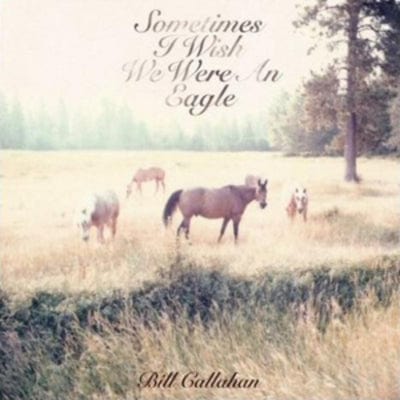 Sometimes I Wish I Were an Eagle - Bill Callahan [VINYL]