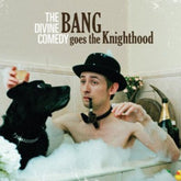 Bang Goes the Knighthood:   - The Divine Comedy [CD] - Vinyl8