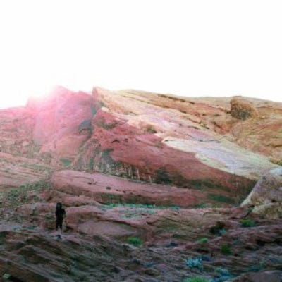 The Waves - Tamaryn [CD]