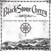 Between the Devil & the Deep Blue Sea - Black Stone Cherry [CD] - Vinyl8