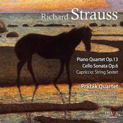 Richard Strauss: Piano Quartet, Op. 13/Cello Sonata, Op. 6/... - Richard Strauss [SACD]