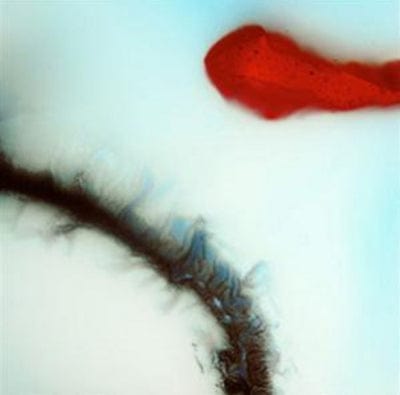 Stubborn Heart - Stubborn Heart [CD]