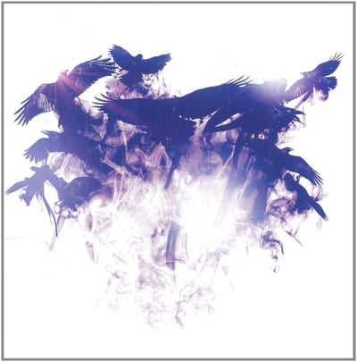 Wolves Within - After the Burial [CD] - Vinyl8