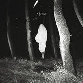 Throw - Flood Of Red [CD]