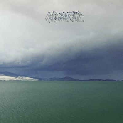 The Fruit That Ate Itself - Modest Mouse [CD] - Vinyl8