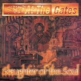Slaughter of the Soul - At the Gates [VINYL] - Vinyl8