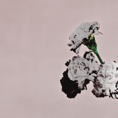 Love in the Future - John Legend [CD Special Edition]