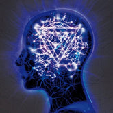 The Mindsweep - Enter Shikari [CD]