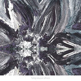 Instrumentals - Flying Saucer Attack [CD]