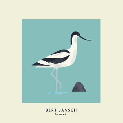 Avocet - Bert Jansch [VINYL Limited Edition] - Vinyl8
