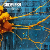 Selfless - Godflesh [CD] - Vinyl8