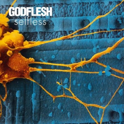 Selfless - Godflesh [CD] - Vinyl8