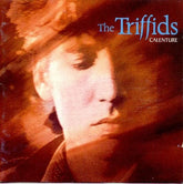 Calenture - The Triffids [CD]