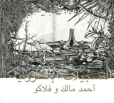 The Electronic Tapes - Ahmed Malik & Flako [VINYL]