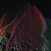 Rare:   - Hundredth [CD]
