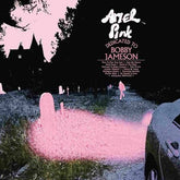 Dedicated to Bobby Jameson - Ariel Pink [CD] - Vinyl8