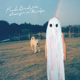 Stranger in the Alps - Phoebe Bridgers [CD] - Vinyl8