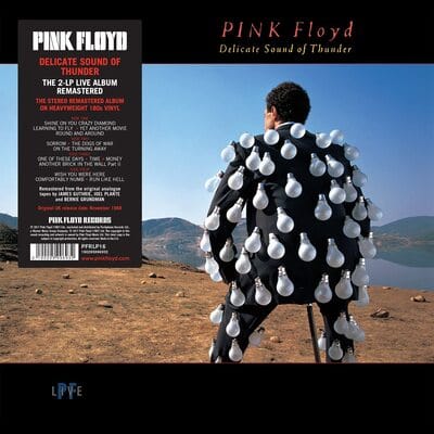 Delicate Sound of Thunder - Pink Floyd [VINYL]