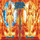 Heretic - Morbid Angel [VINYL] - Vinyl8