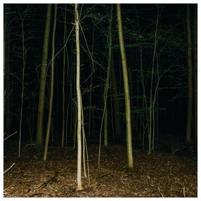 Fixed Rope II - Express Rising [CD Limited Edition]