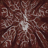 Crown Shyness - Trash Boat [CD]