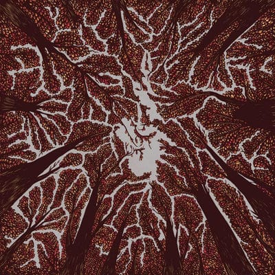 Crown Shyness - Trash Boat [CD]
