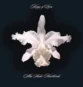 Aha Shake Heartbreak - Kings of Leon [VINYL]
