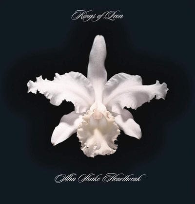 Aha Shake Heartbreak - Kings of Leon [VINYL]