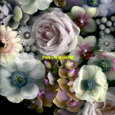 Full Bloom:   - Alpines [CD] - Vinyl8