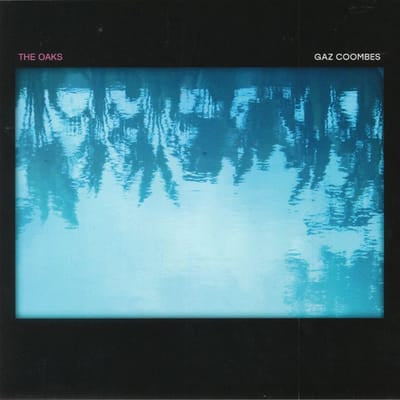 The Oaks - Gaz Coombes [VINYL] - Vinyl8