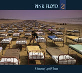 A Momentary Lapse of Reason - Pink Floyd [VINYL]