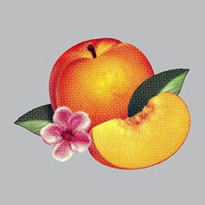 Bankrupt! - Phoenix [VINYL]